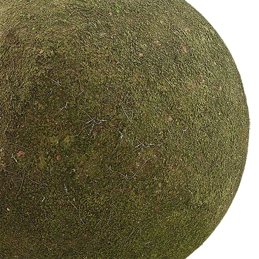 Moss Seamless Texture 2K - EXR 5 - JPG 5 Texture Texture_1