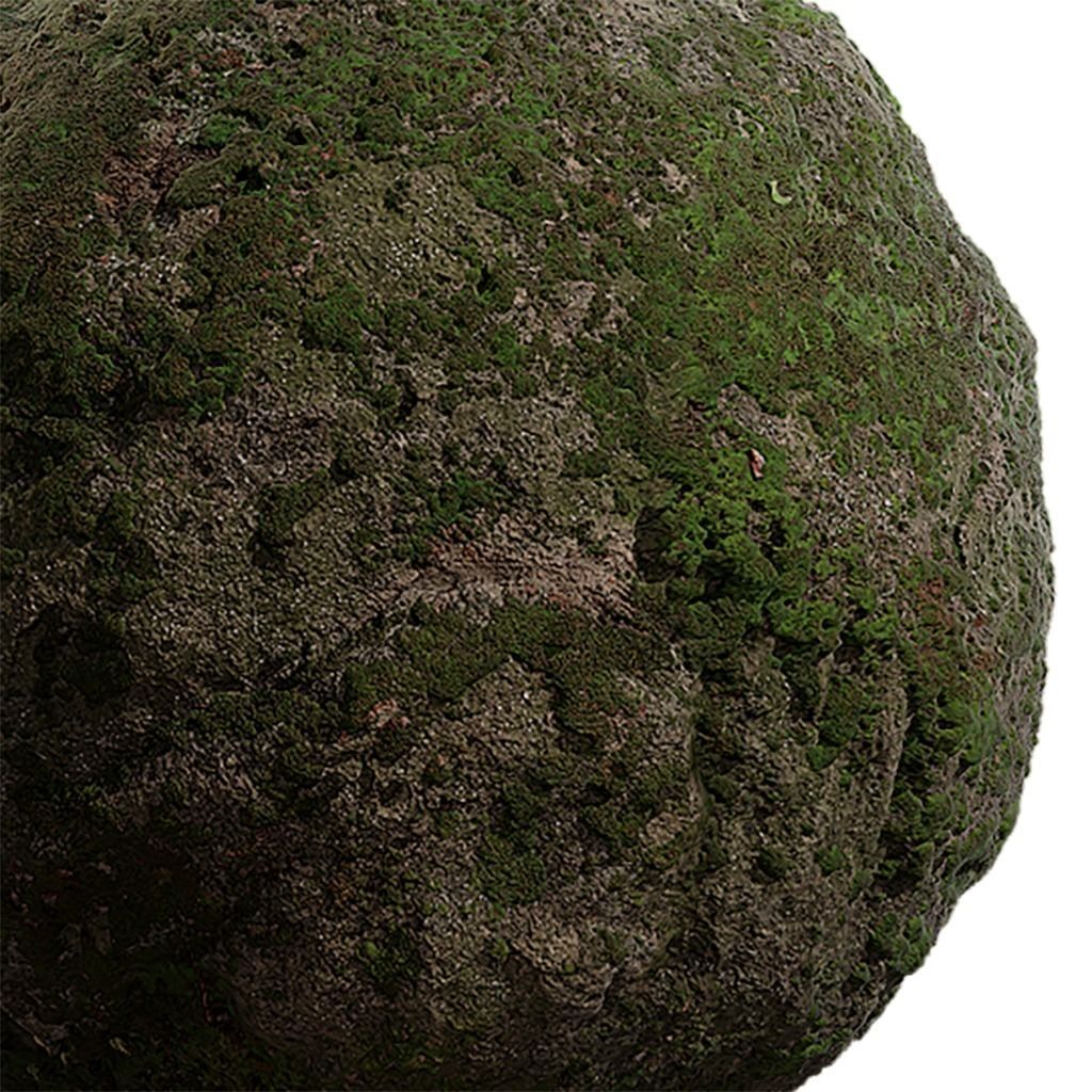 Moss Seamless Texture 2K - EXR 5 - JPG 5 Texture Texture_4