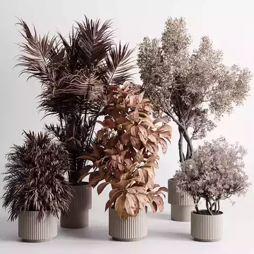 Indoor plant autumn set 487 concrete vase plant palm tree