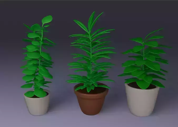 Pack of indoor plants in pots