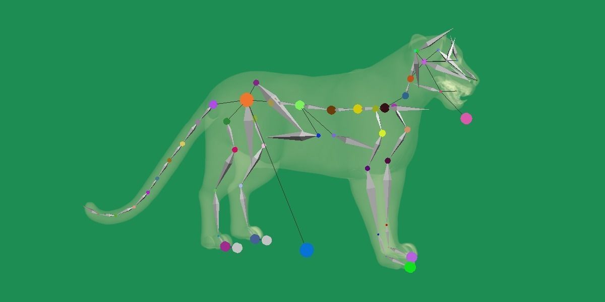 Clouded Leopard Wild Cat 3D model_24