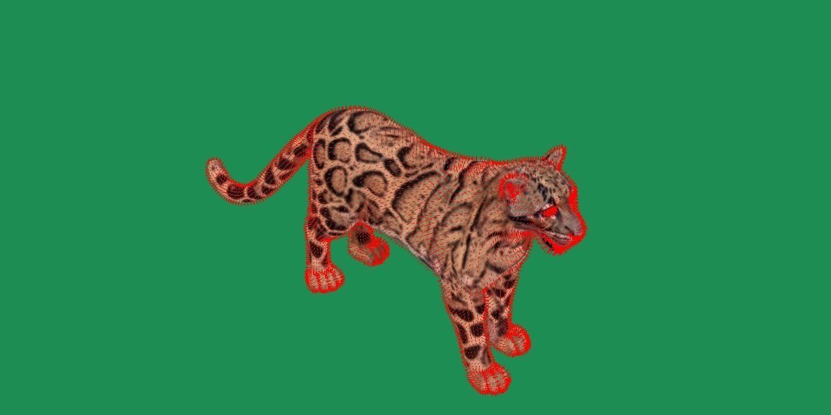 Clouded Leopard Wild Cat 3D model_17