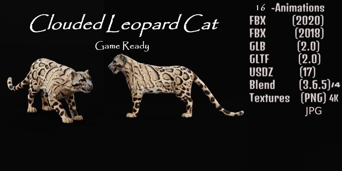 Clouded Leopard Wild Cat 3D model_2