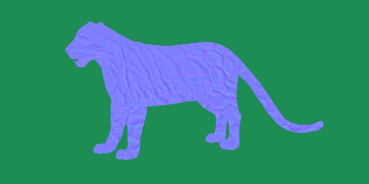 Clouded Leopard Wild Cat 3D model_29