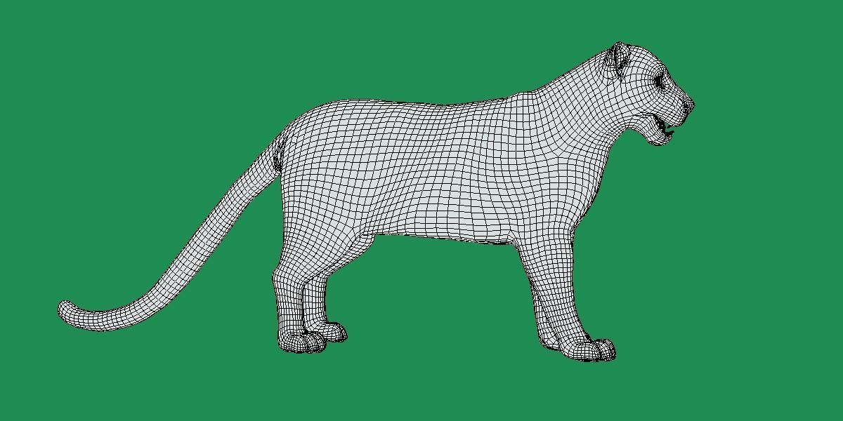 Clouded Leopard Wild Cat 3D model_16