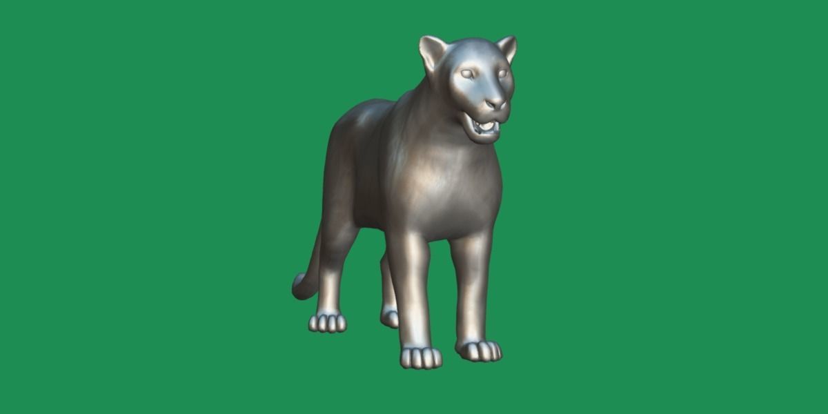 Clouded Leopard Wild Cat 3D model_14