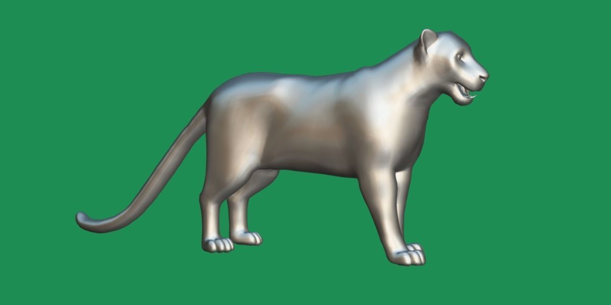 Clouded Leopard Wild Cat 3D model_13