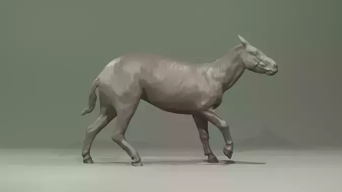 Hyracotherium Eohippus prehistoric horse equine extinct running  3D print model