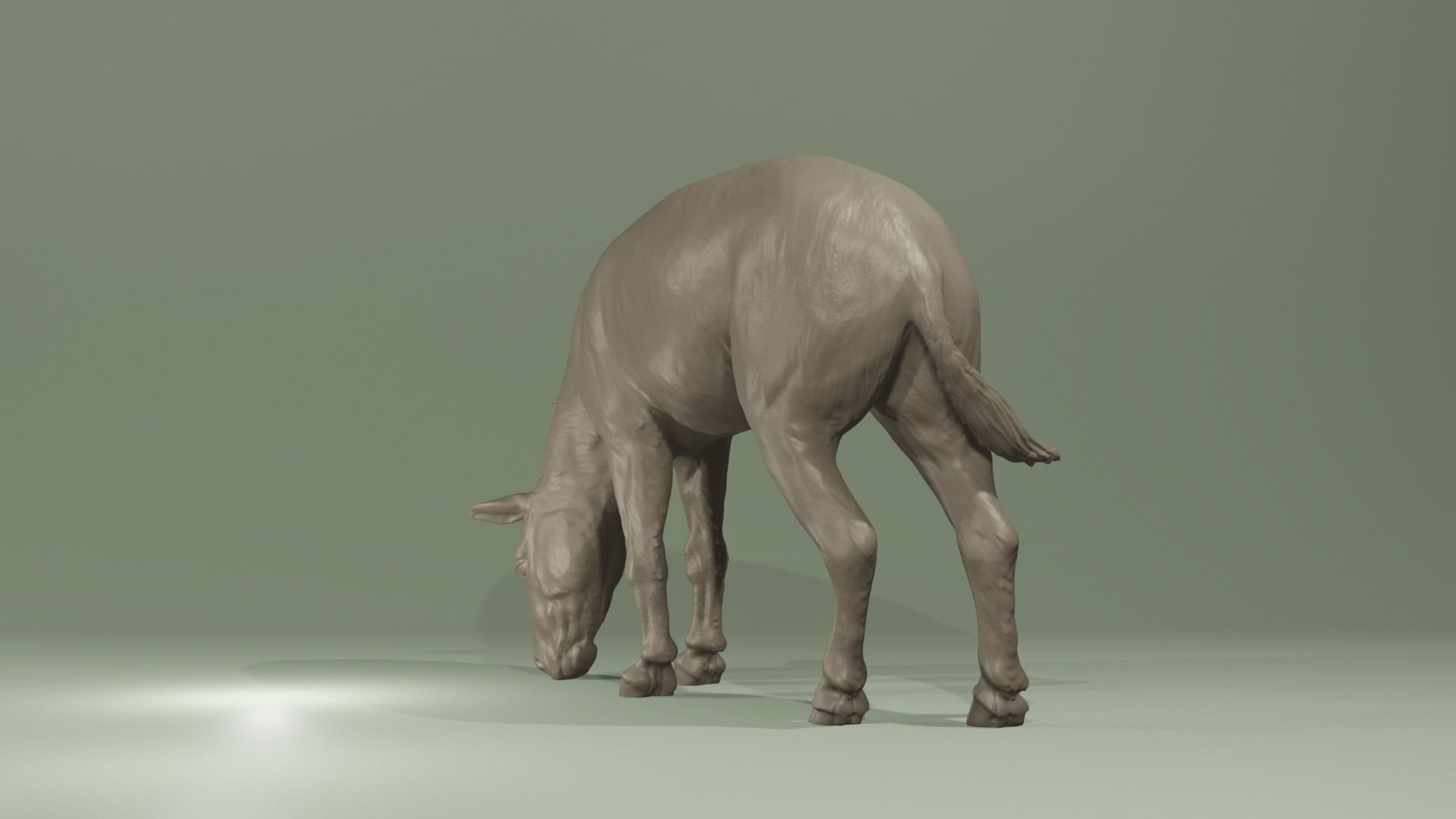 Urpferd Hyracotherium Eohippus prehistoric horse equine extinct 3D print model_5