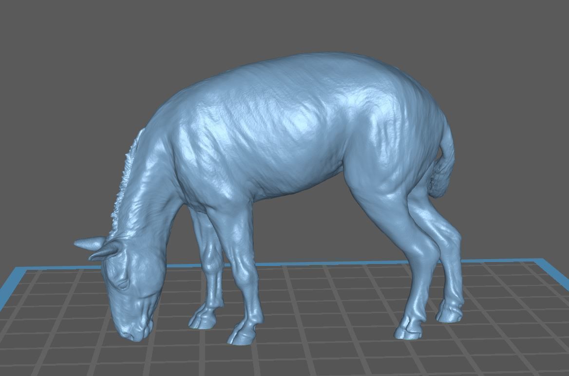 Urpferd Hyracotherium Eohippus prehistoric horse equine extinct 3D print model_6