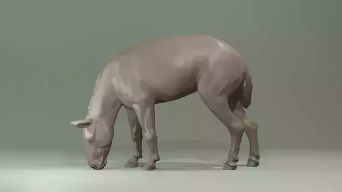Urpferd Hyracotherium Eohippus prehistoric horse equine extinct 3D print model
