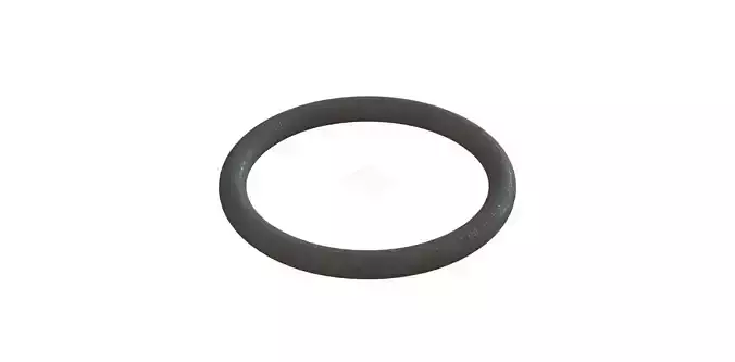 O Ring Vedabras 12549