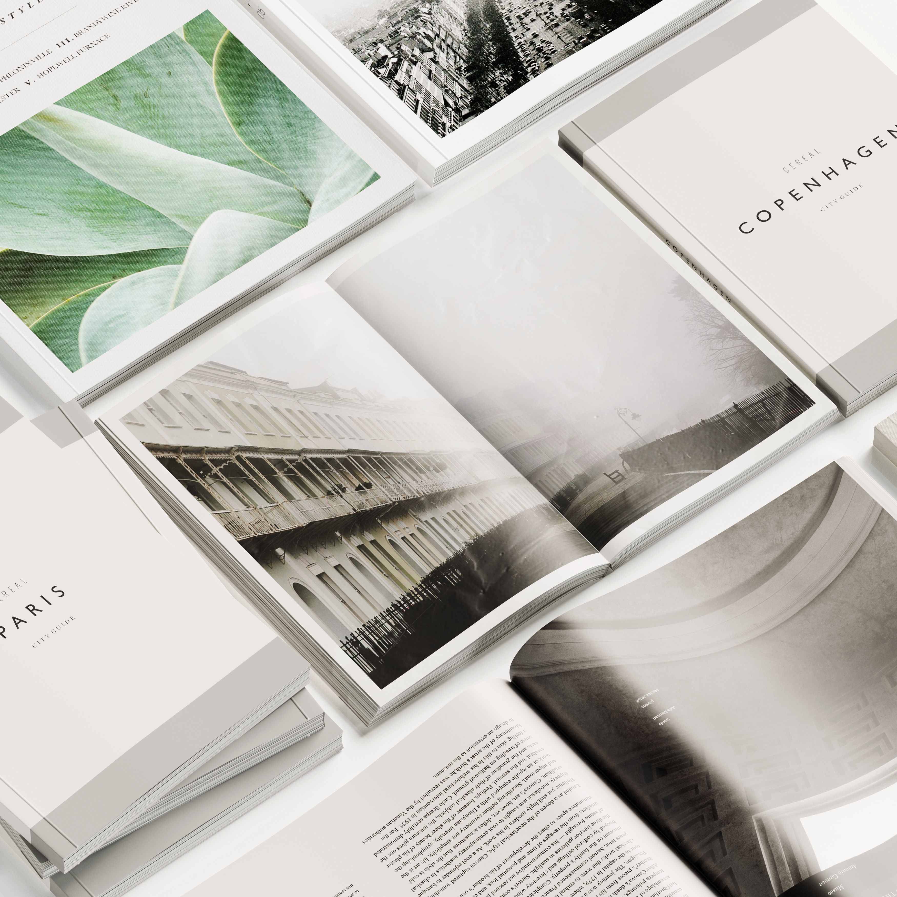 Cereal Set 3D model_4