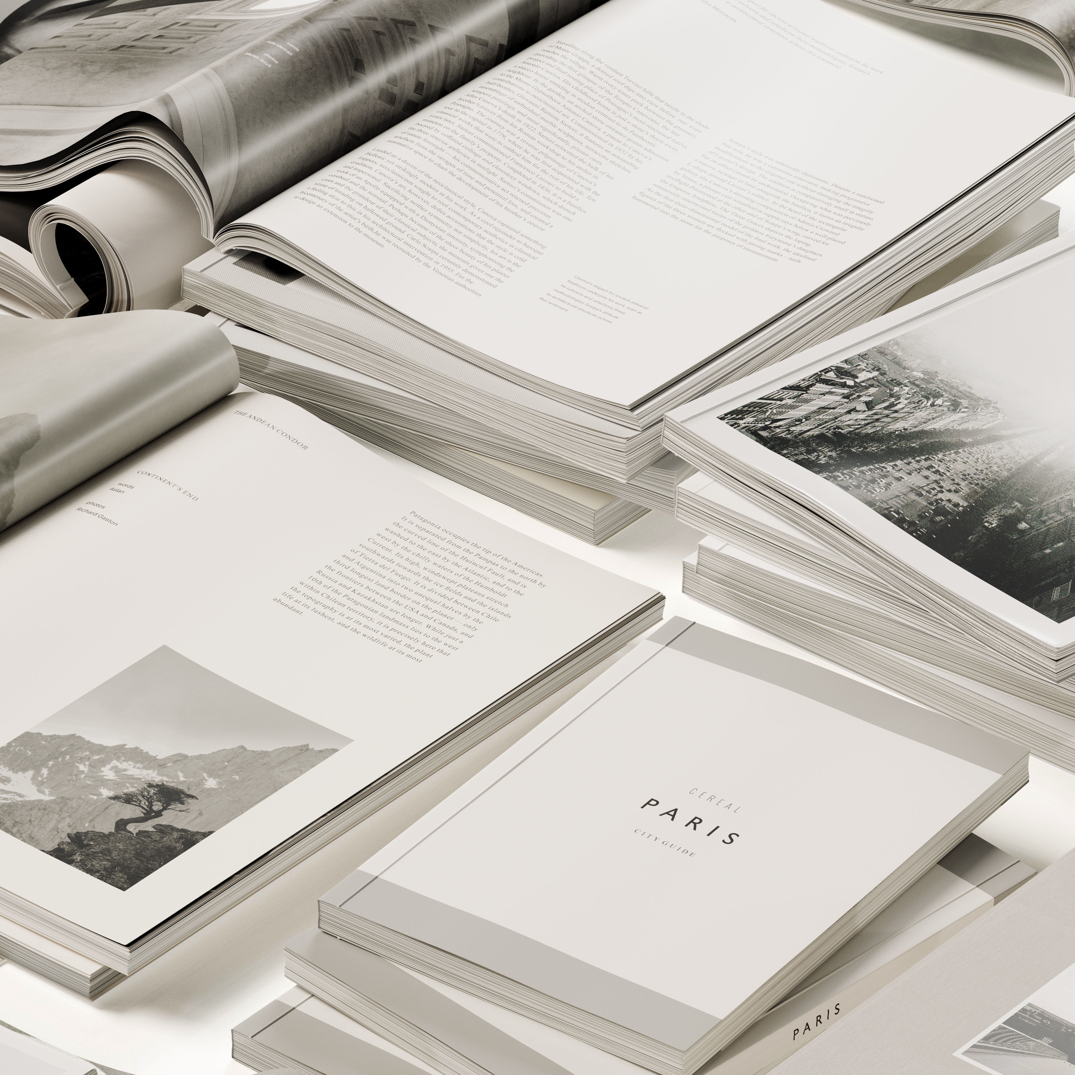 Cereal Set 3D model_1