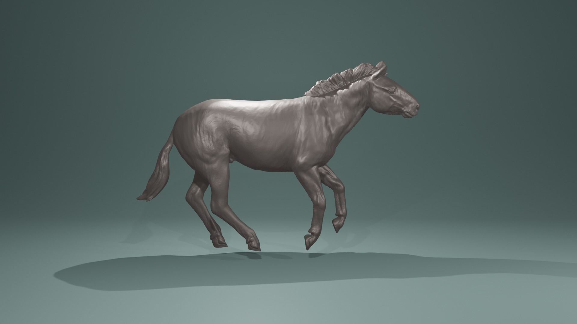 Urpferd Hipparion Equidae prehistoric horse equine extinct base 3D print model_5