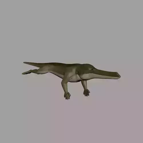 Remingtonocetus 3D model