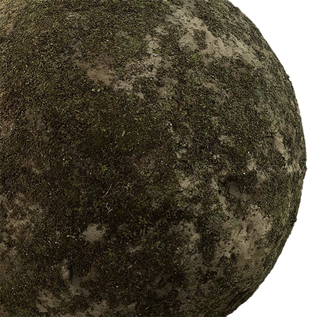 Moss Seamless Texture 2K - EXR 5 - JPG 5 Texture Texture_2