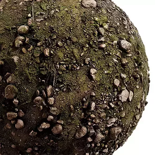 Moss Seamless Texture 2K - EXR 5 - JPG 5 Texture