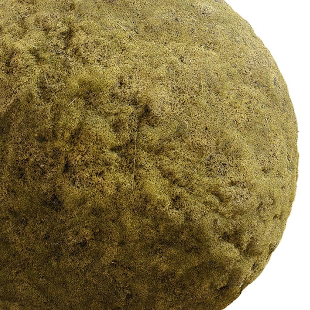 Moss Seamless Texture 2K - EXR 5 - JPG 5 Texture Texture_1