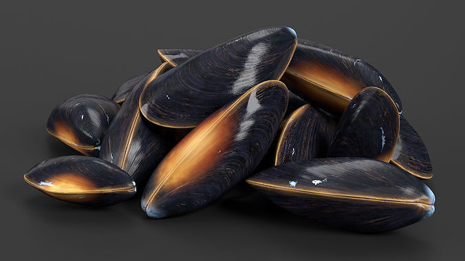 Bunch of Clams 3D model 2