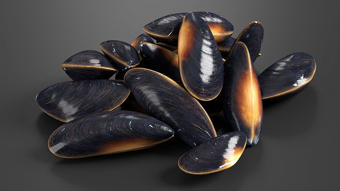 Bunch of Clams 3D model 3