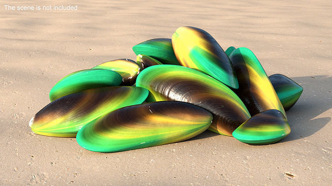 Pile of Green Lipped Clams 3D model