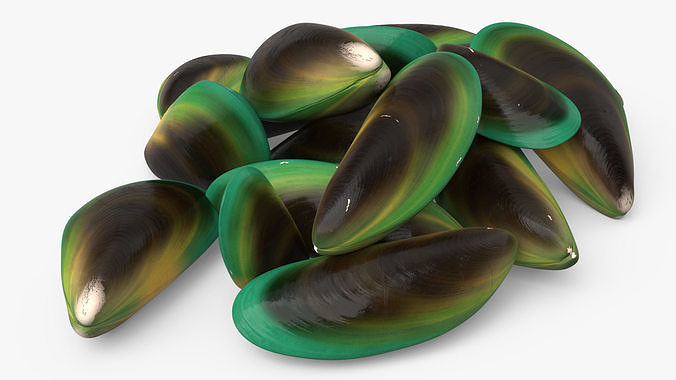 Pile of Green Lipped Clams 3D model 2