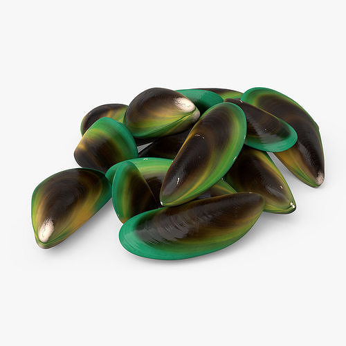 Pile of Green Lipped Clams 3D model 5