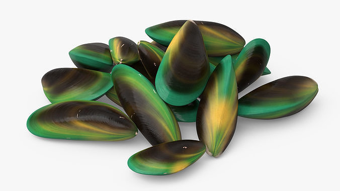 Pile of Green Lipped Clams 3D model 6