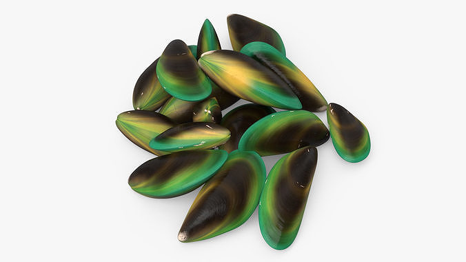 Pile of Green Lipped Clams 3D model 7