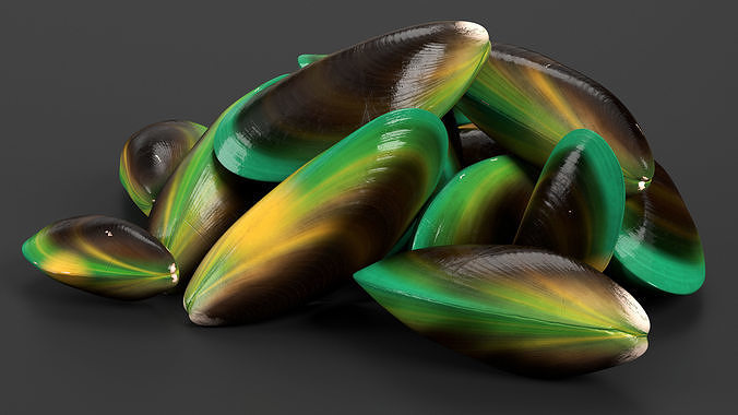 Pile of Green Lipped Clams 3D model 3