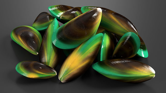 Pile of Green Lipped Clams 3D model 4