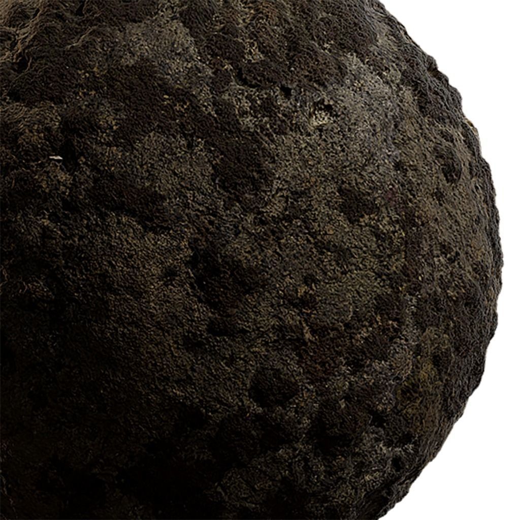 Moss Seamless Texture 2K - EXR 5 - JPG 5 Texture Texture_3