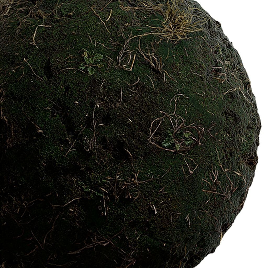 Moss Seamless Texture 2K - EXR 5 - JPG 5 Texture Texture_1