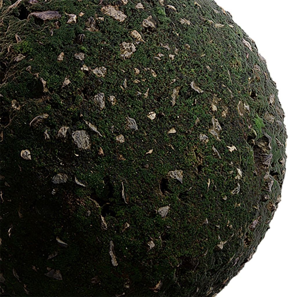 Moss Seamless Texture 2K - EXR 5 - JPG 5 Texture Texture_4
