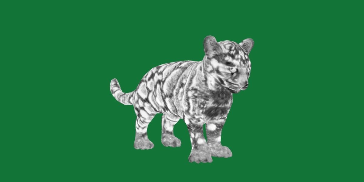 Clouded Leopard Cub Low-poly 3D model_24