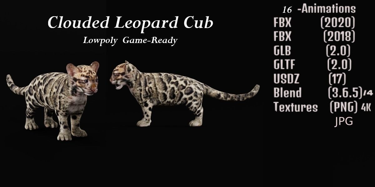 Clouded Leopard Cub Low-poly 3D model_2