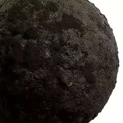 Moss Seamless Texture 2K - EXR 5 - JPG 5 Texture