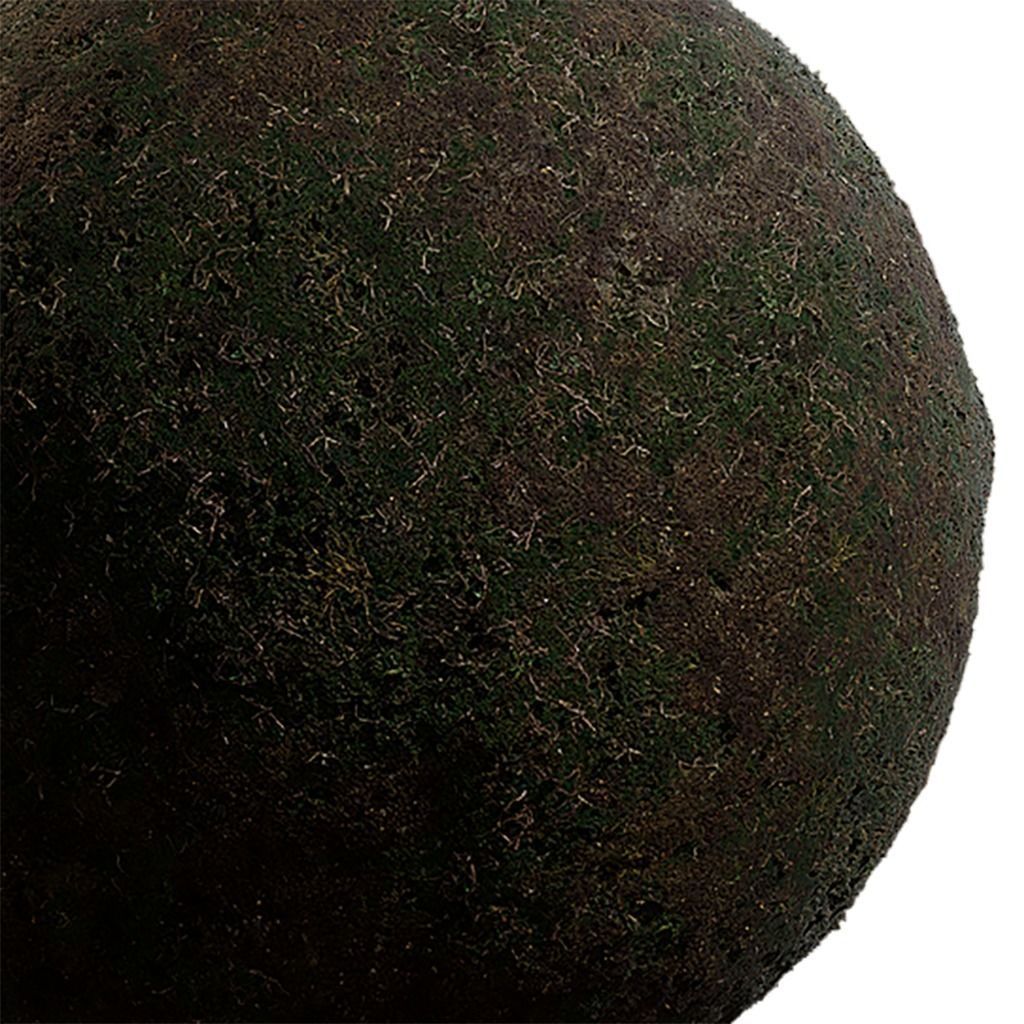 Moss Seamless Texture 2K - EXR 5 - JPG 5 Texture Texture_3