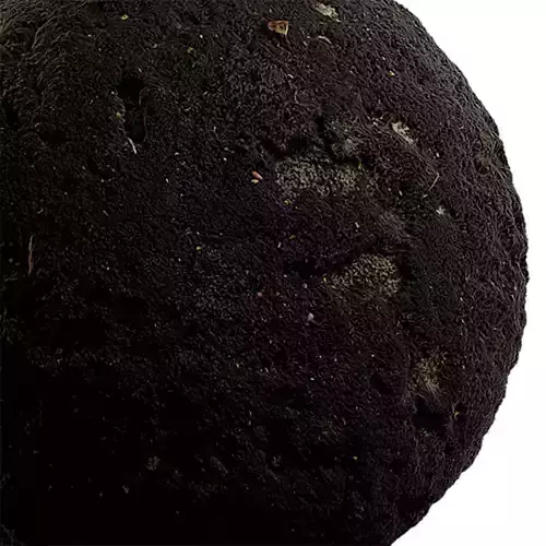 Moss Seamless Texture 2K - EXR 5 - JPG 5 Texture