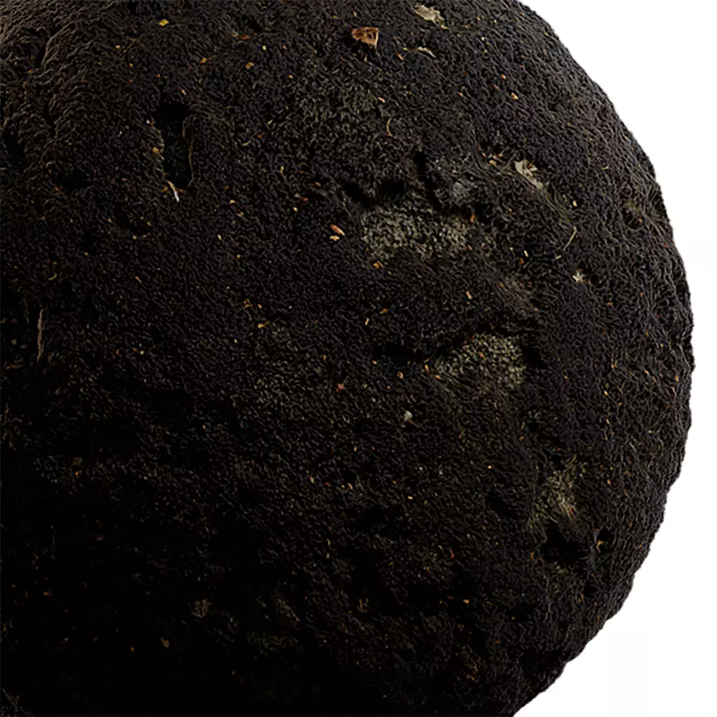 Moss Seamless Texture 2K - EXR 5 - JPG 5 Texture Texture_0