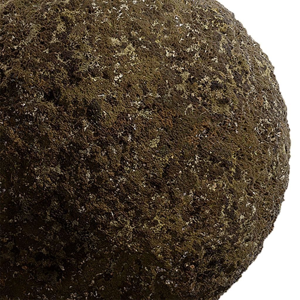 Moss Seamless Texture 2K - EXR 5 - JPG 5 Texture Texture_1