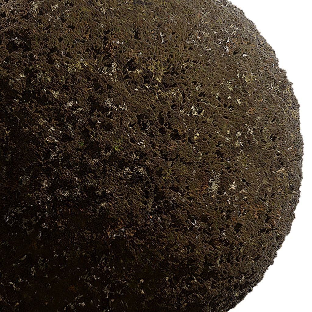 Moss Seamless Texture 2K - EXR 5 - JPG 5 Texture Texture_2