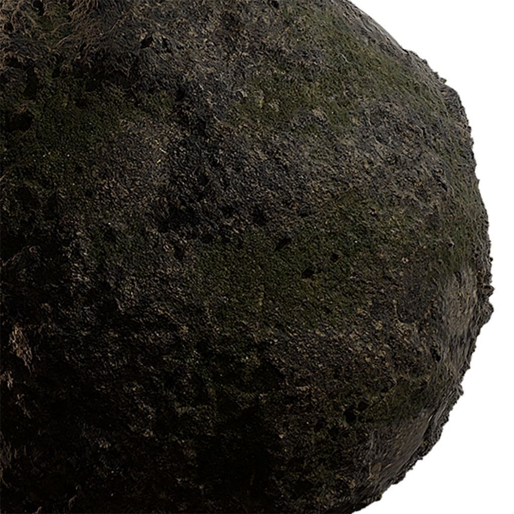 Moss Seamless Texture 2K - EXR 5 - JPG 5 Texture Texture_4