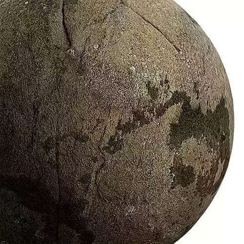 Moss Seamless Texture 2K - EXR 5 - JPG 5 Texture