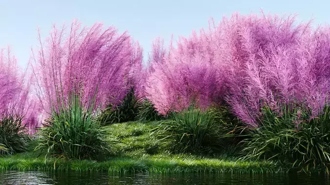 Muhly grass a 3D model