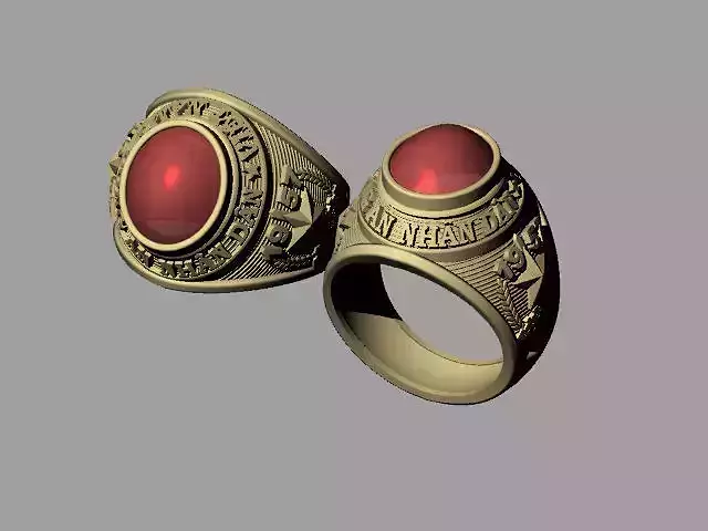 Vietnam Police Ring