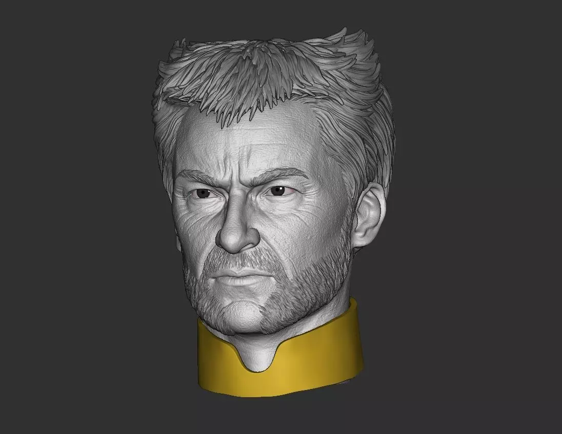 Wolverine Hugh Jackman Head 3D print model_0