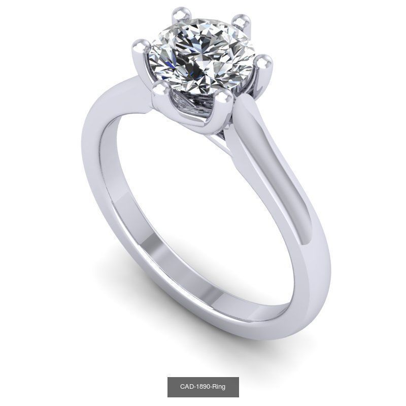 25th collection of 10est model _8