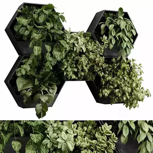 wall plant -  hanging plants on Hexagon Green Indoor plant 486